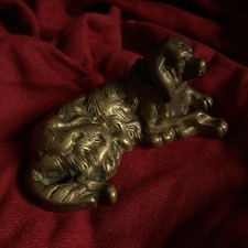 Spaniel Setter Irlandese