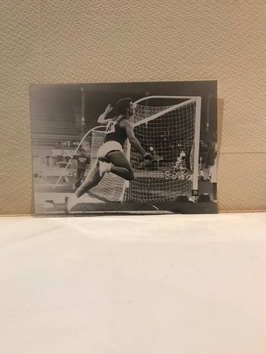 Foto coppa italia - coppa,