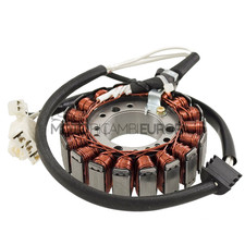 Magnete Statore 18 Poli Yamaha