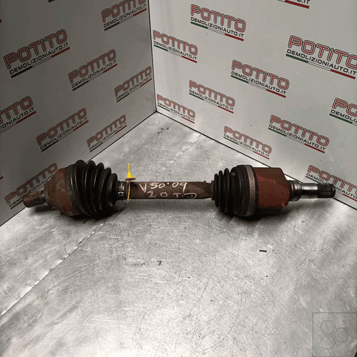 36000552 semialbero ant - semialbero,