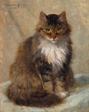 The Maine Coon, ritratto di