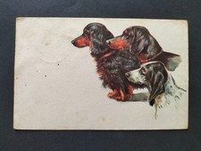 Cartolina cani setter - cartolina,