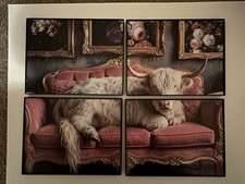 Set fotografico 4 pezzi