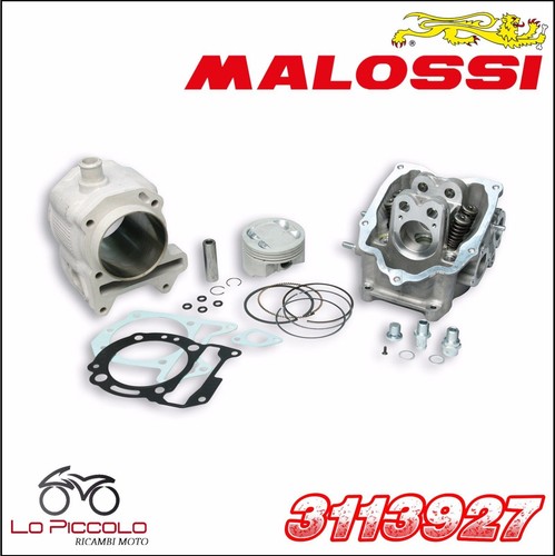 3113927 malossi gruppo termico - 3113927,