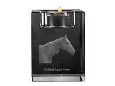 Cavallo da corsa in pensione