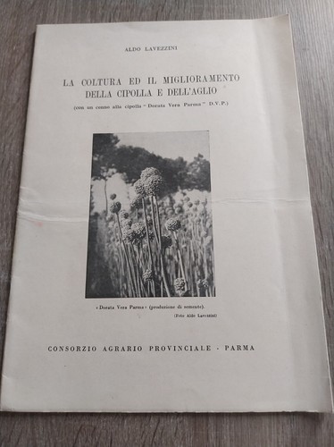 Lavezzini coltura - lavezzini,