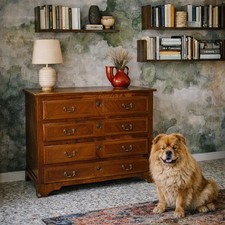 Cassettone Neoclassico Antico