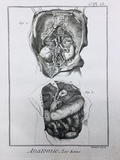 Anatomia del 1779 nefrologia - del,