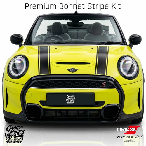 Kit decalcomania strisce