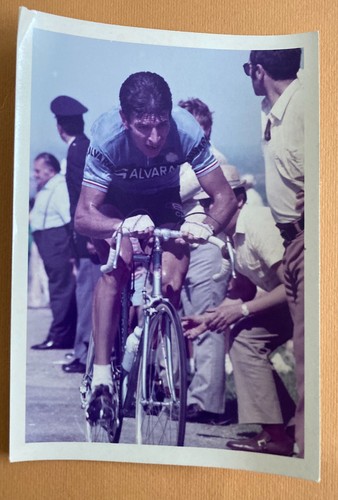 Felice gimondi fotografia - gimondi,