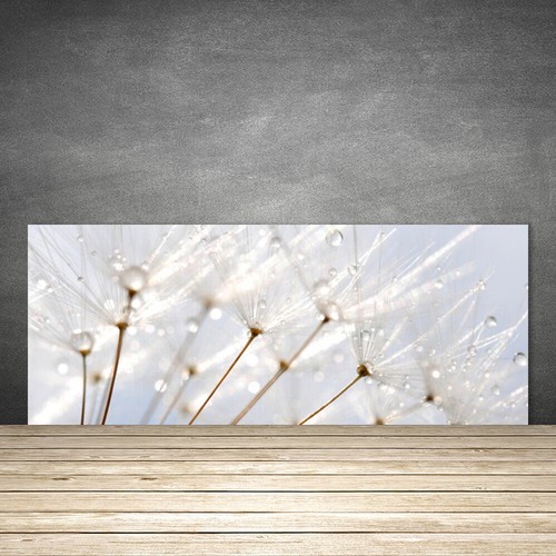 Paraschizzi cucina 125x50 - paraschizzi,