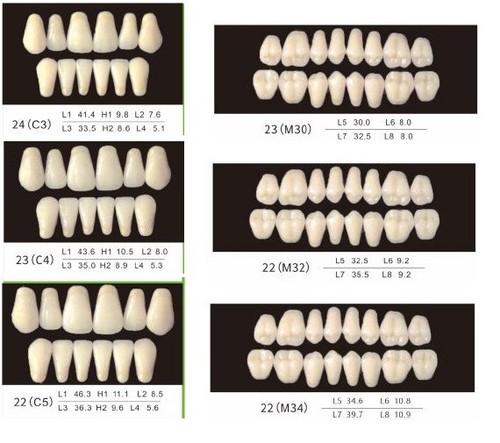 Denti protesi resina - c, serie