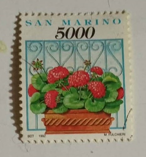 Francobollo san marino gerani - francobollo, marino-gerani