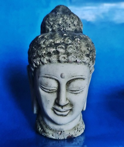 Statua testa buddha - statua,