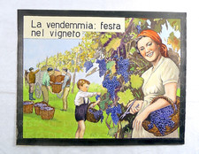 VINTAGE ILLUSTRATORE DIPINTO IDEA ARREDO IDEA REGALO UVA ENOLOGIA VINO VENDEMMIA