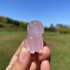 Rose Shi Ying Labrador Carves