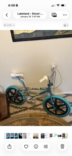 1987 bmx skyway - 1987,