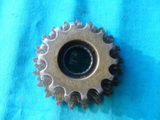 pignone Regina extra denti