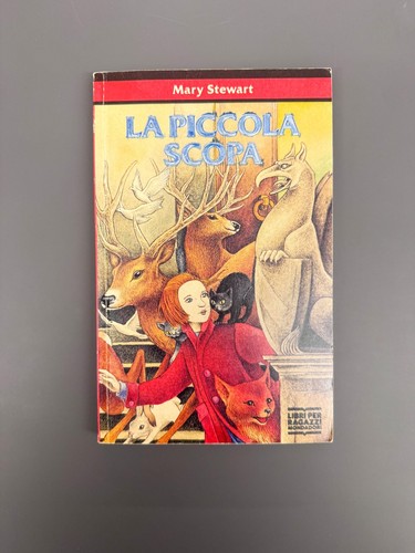 Piccola scopa libro - scopa, romanzo