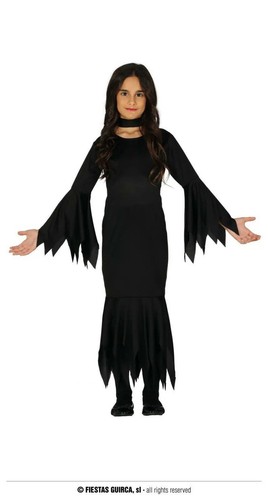Costume famiglia morticia - costume,