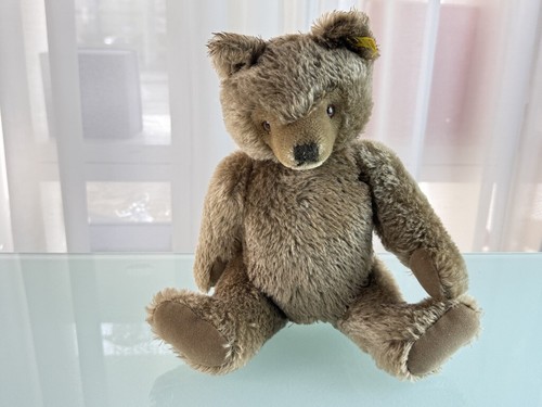 Orso animale steiff 0202 - orso,