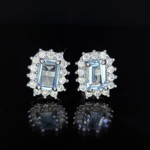 Orecchini argento sterling - argento,
