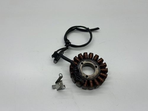 Statore alternatore magnete - statore,
