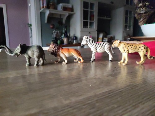Animali della foresta - animali,