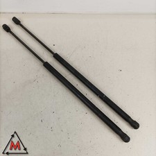 Trunk Pistons Trunk for Smart