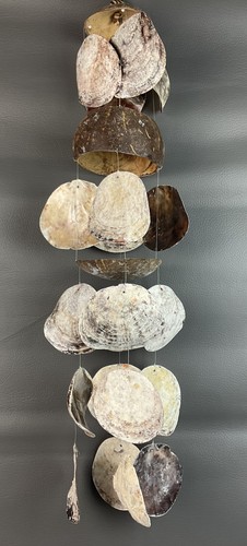 Vtg capiz coconut - vtg,