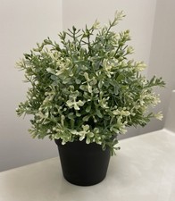 Pianta Decorativa Ikea Verde