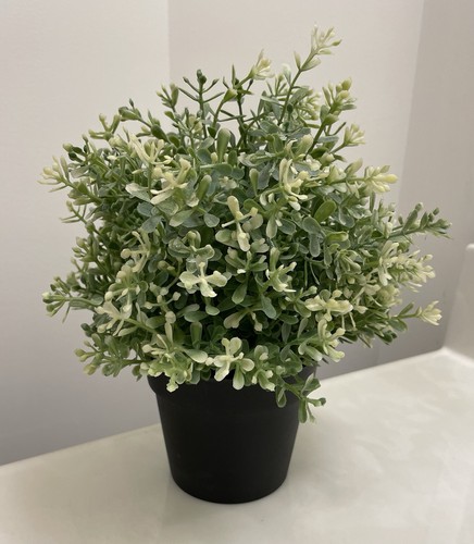 Pianta decorativa ikea verde - decorativa,