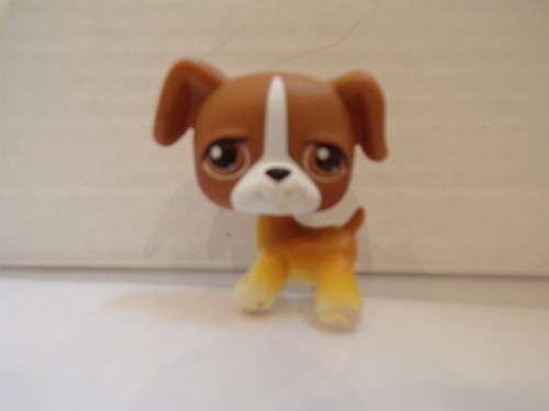 Littlest pet - littlest,