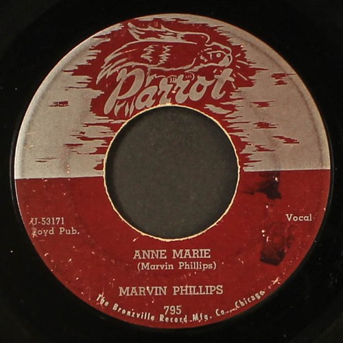 Marvin phillips parrot - phillips,