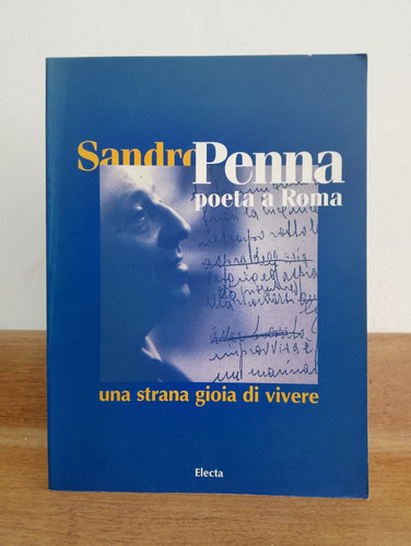Sandro penna poeta roma - a,