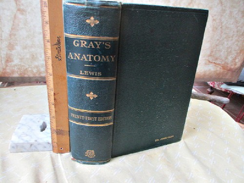 Gray anatomy human - gray's,