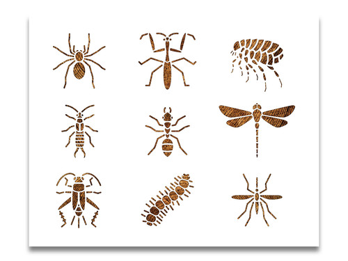 Bugs stencil insetti - bugs,