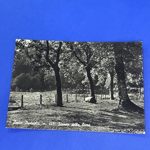 Badia prataglia foresta - badia, lama