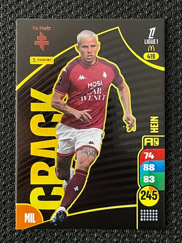 Card carte panini adrenalyn - card, xl