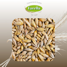 Orzo Uso Zootecnico 25kg per