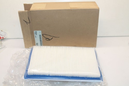 Filtre air pour - air, 1125r