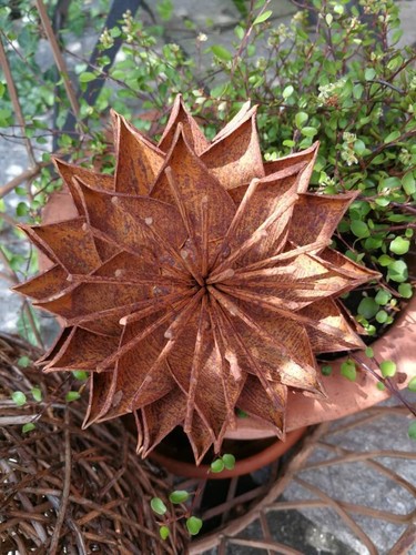 Fiore acciaio inox electra - fiore,