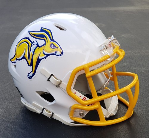 South dakota state - dakota,