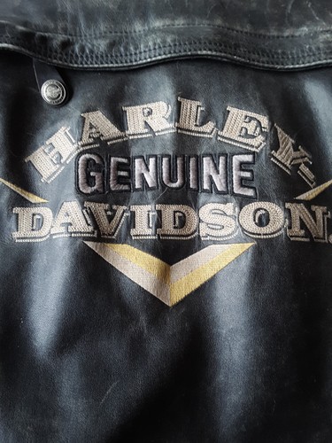 Harley davidson motor - harley, clothes