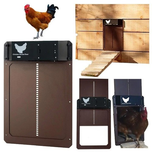 Porta automatica per pollaio - porta,