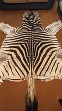 Pelle di zebra A+ / pelle -