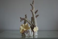 Acquario Splendido Grande Rosa