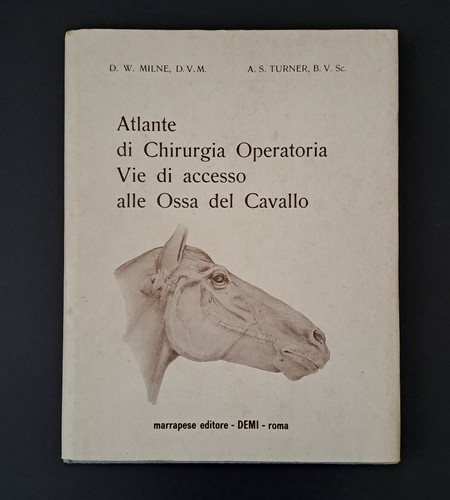 Atlante chirurgia - atlante,