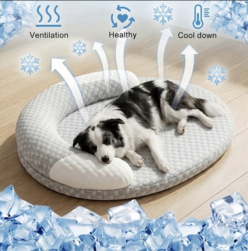 Cuccia fresca confortevole - cuccia,