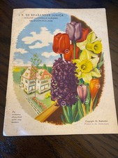 J K De Brabander Junior flower